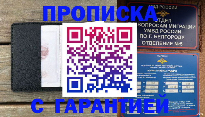 купить прописку в Павловске